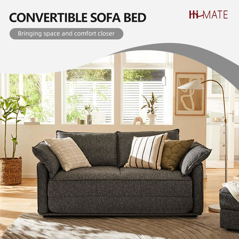  Convertible Sofa Bed